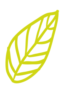 Feuille